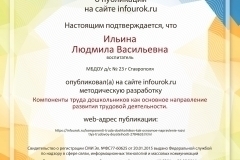 Свидетельство-проекта-infourok.ru-№1363812