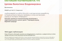 Свидетельство-проекта-infourok.ru-№ХО68849995